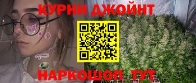 индика Новокубанск