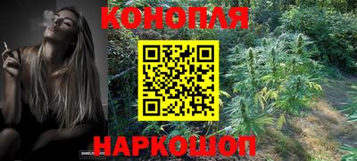 индика Новокубанск