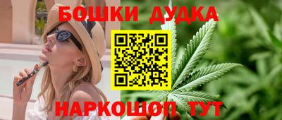 индика Новокубанск