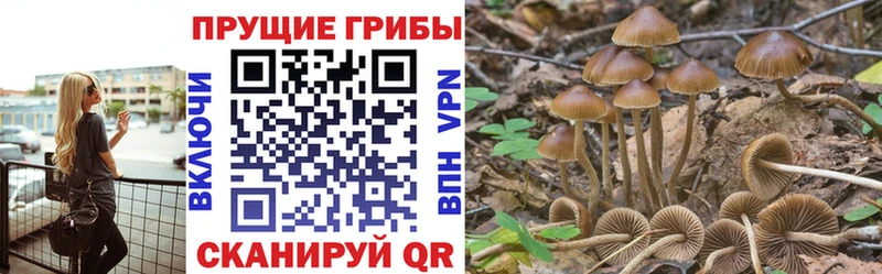 Галлюциногенные грибы мицелий  закладки  Улан-Удэ 