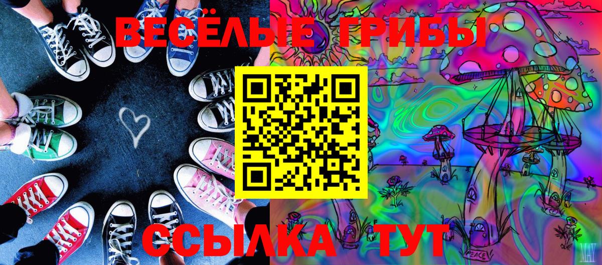 Галлюциногенные грибы мухоморы Улан-Удэ