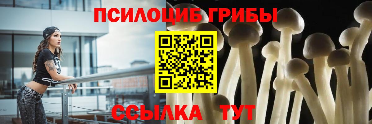 Улан-Удэ  Псилоцибиновые грибы MAGIC MUSHROOMS  Псилоцибиновые грибы Psilocybine cubensis  Вход с VPN 